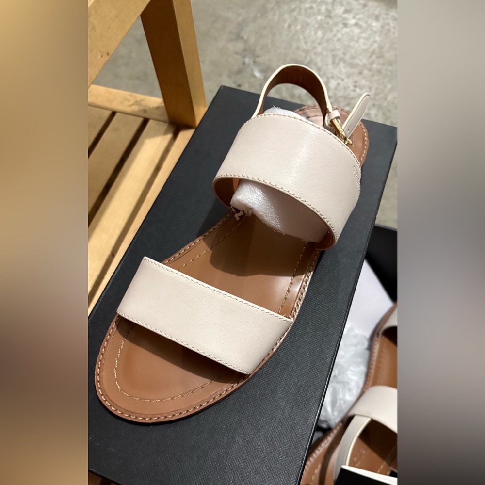 Elegant Cream Sandals